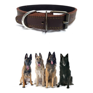 Collar De Piel Para Perro Resistente Varios Colores Collar De Piel Para Perro Resistente Varios Colores