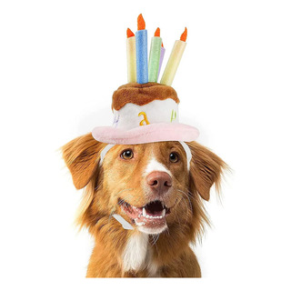 Gorro De Tarta De Cumpleaños Para Perro O Gato Gorro De Tarta De Cumpleaños Para Perro O Gato