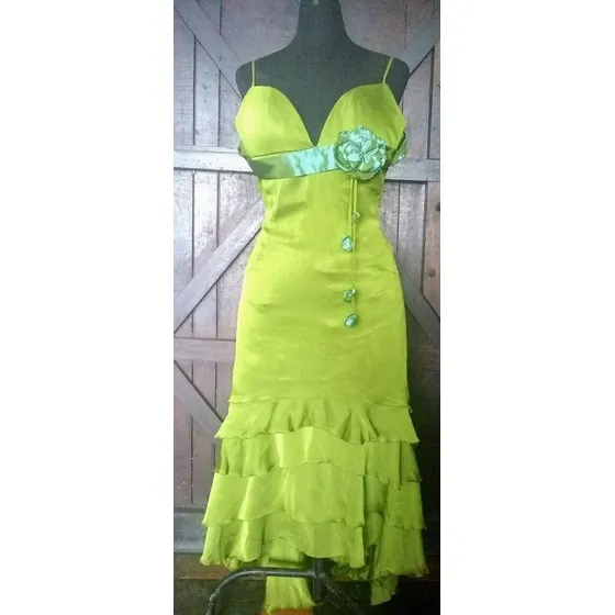 Vestido Largos Fiesta Dama.usado.impecable 