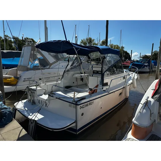 Crucero Mamba 25 Volvo Penta 2017