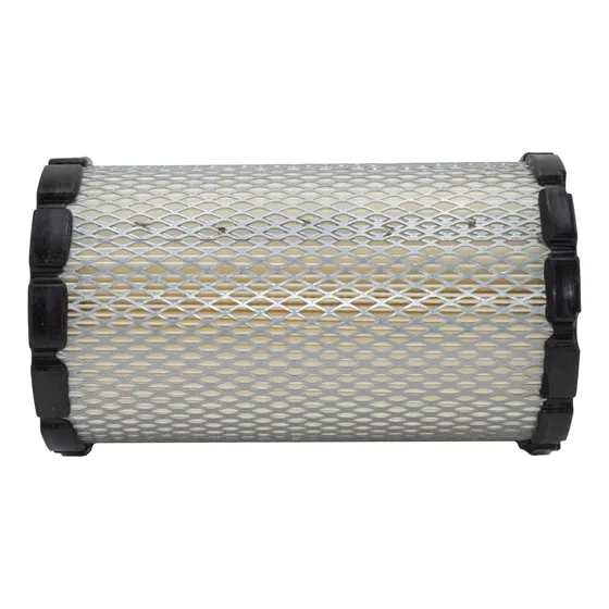 Filtro De Aire Para Ford Escape 3.0 2009-2012