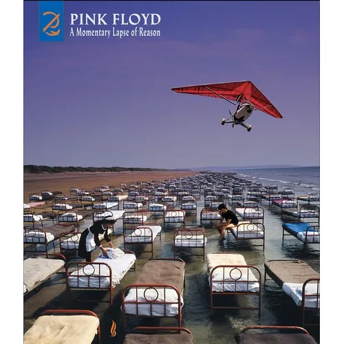Pink Floyd A Momentary Lapse Of Reason Deluxe Cd/ Dvd