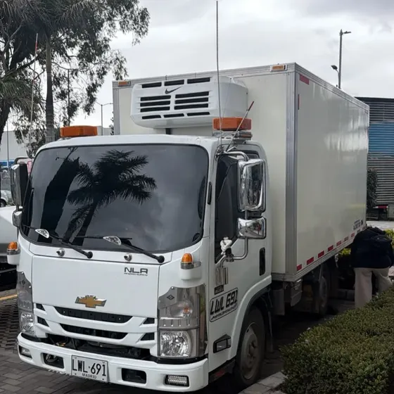 Vendo Camioneta Nlr 2024