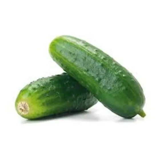 Oferta! 20 Semillas Pepino Pickle