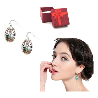 Aretes Pendientes Plata Libélula Ámbar + Estuche Regalo Aretes Pendientes Plata Libélula Ámbar + Estuche Regalo