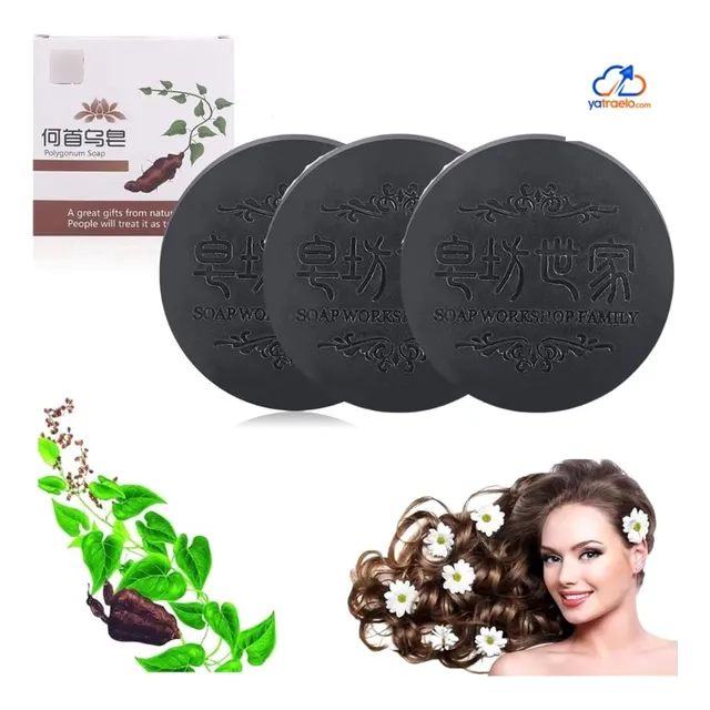 Shampoo Champo Polygorum Caida Del Cabello