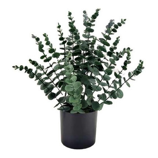 Planta Artificial De Hoja De Eucalipto Con Maceta Planta Artificial De Hoja De Eucalipto Con Maceta