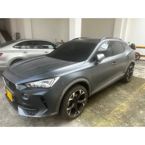 Cupra Formentor 2.0 Tsi Mate Dsg