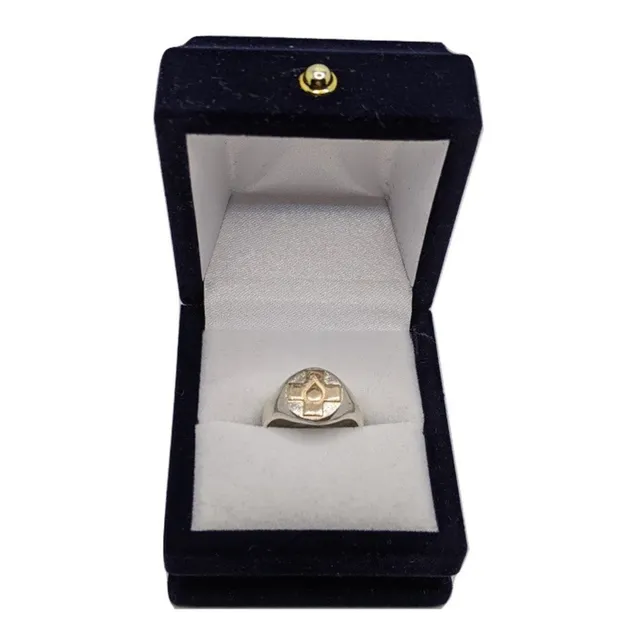 Anillo  Profesional, Auxiliar De Servicios,plata Y Oro Sello