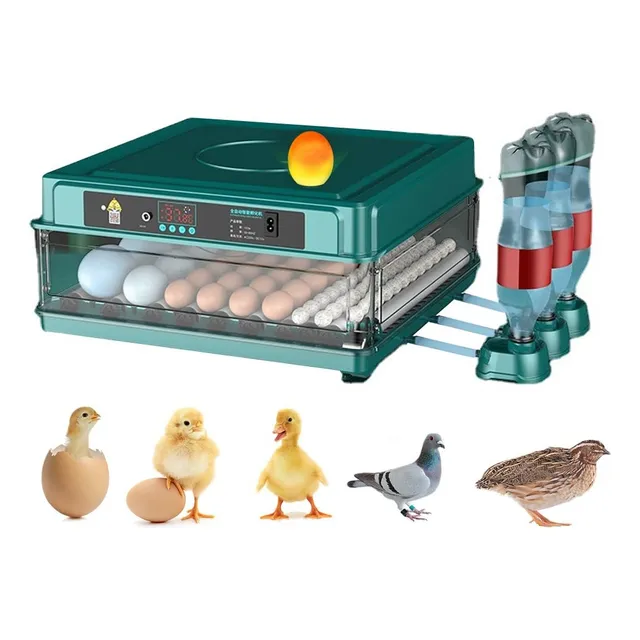 Incubadora  Automatica 48 Huevos Avicola Efectiva 110v/12v
