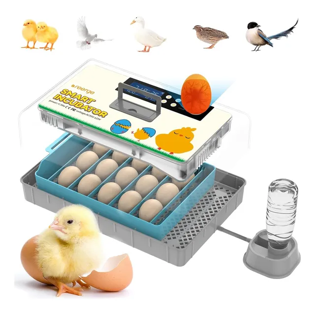 Incubadora De 15 Huevos Volteo Automatico Control Humedad