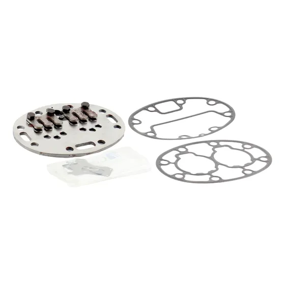 Plato De Valvula Compresor 06d Carlyle 06da660131