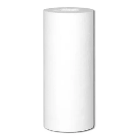 Filtro De Sedimento 1 Micras 4.5 X 10 Pulgadas - Aguaplanet