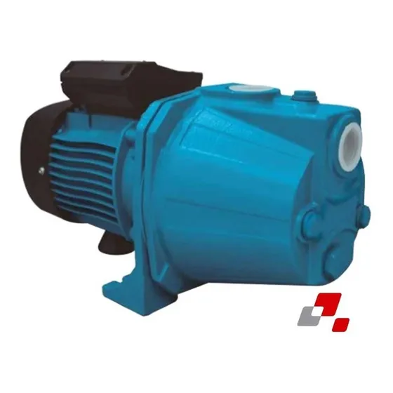 Bomba Autoaspirante Elevadora 45 Mts 1 Hp Fluvial Fjet 100