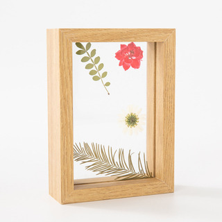 Espécime De Flores E Folhas Secas Com Moldura Em P De Vidro Espécime De Flores E Folhas Secas Com Moldura Em P De Vidro
