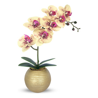 Arranjo Orquídea Creme Aparência Real Silicone Vaso Redondo Arranjo Orquídea Creme Aparência Real Silicone Vaso Redondo