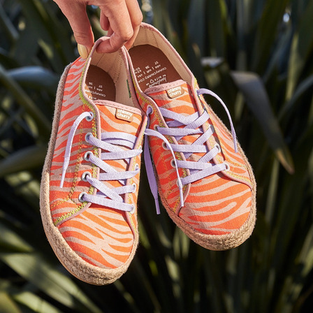 Sneaker Crazy Cebra Sneaker Crazy Cebra