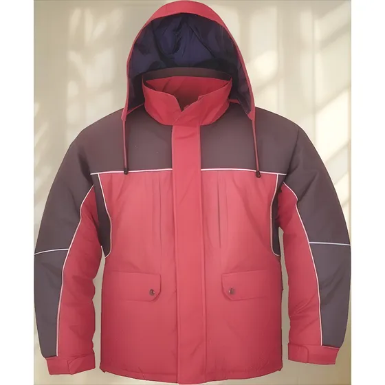 Campera Con Capucha Forro Capitoneado 