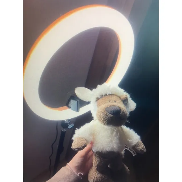Aro De Luz De 10 Con Tripode