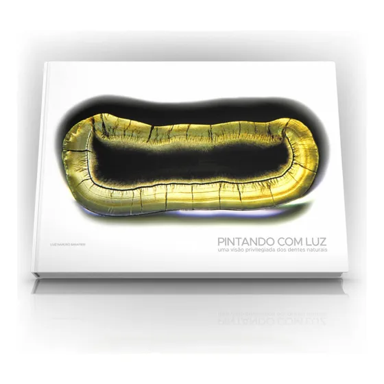 Livro: Pintando Com Luz - Uma Visão Privilegiada Dos Dentes Naturais - Luis Narciso Baratieri