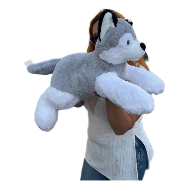 Perro De Peluche Acostado Lobo Husky 50cm Importado