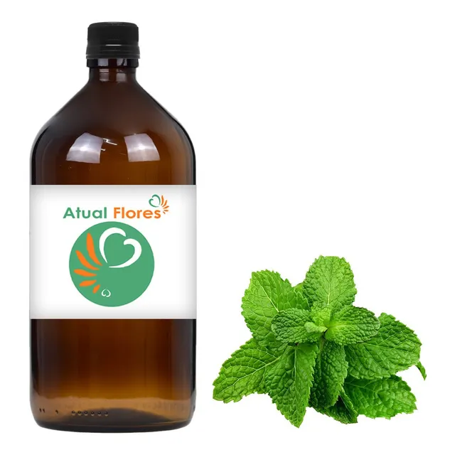 Essência Concentrada P/ Aromatizadores 1 Litro - Menta