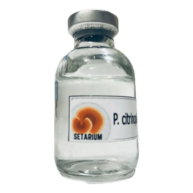 Micelio Hongos Vial 20ml (melena De León Reishi Girgola Etc)