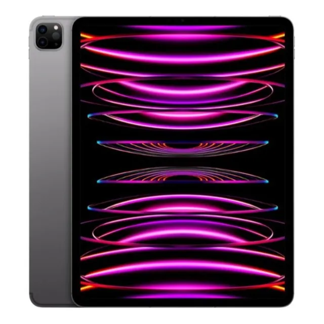 iPad Pro 6th generation A2764 12.9" con red móvil 1TB gris espacial 16GB de memoria RAM