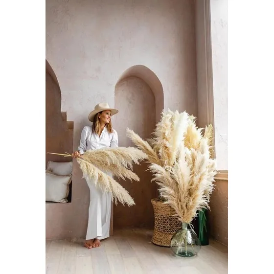 Espigas Pampas Producto 100% Natural Para Decoracion 