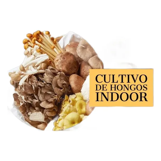 Asesoramiento Integral Para El Cultivo De Setas Comestibles 