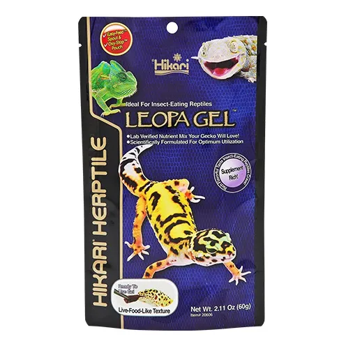 Hikari Leopagel Geckos Leopardo Reptiles