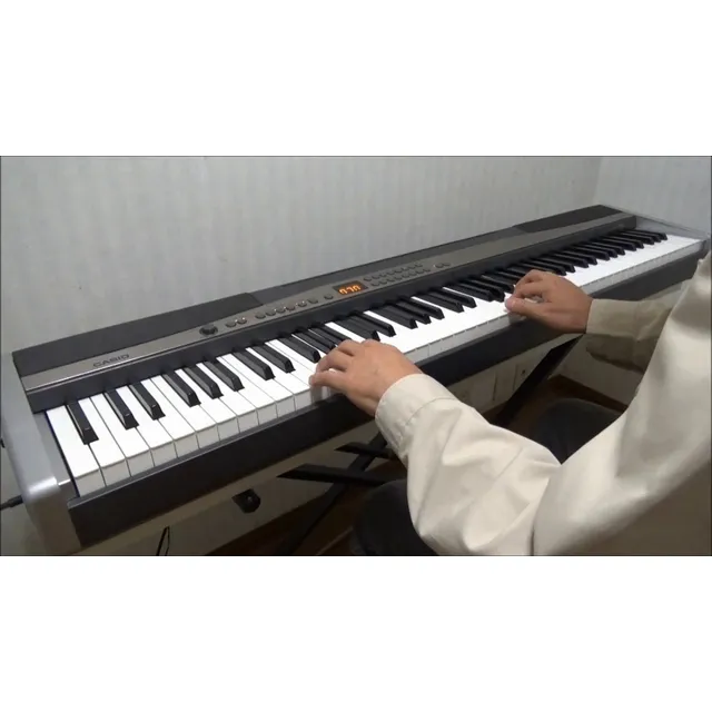 Piano Eléctrico Casio Privia Px-300 Sensitivo Teclado Permut