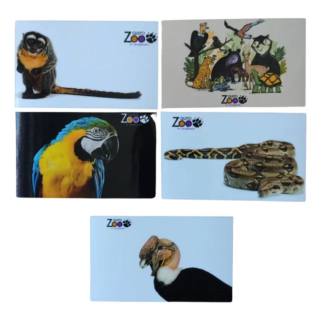 Pack 100 Imanes Publicitarios O Decorativos Calidad Premium