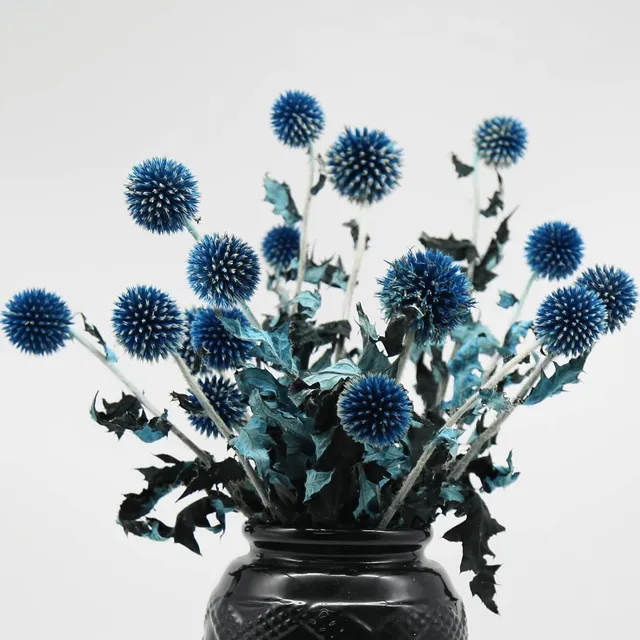Más De 20 Bolas De Cardo Azul Seco Bouquet Flor De Glo...