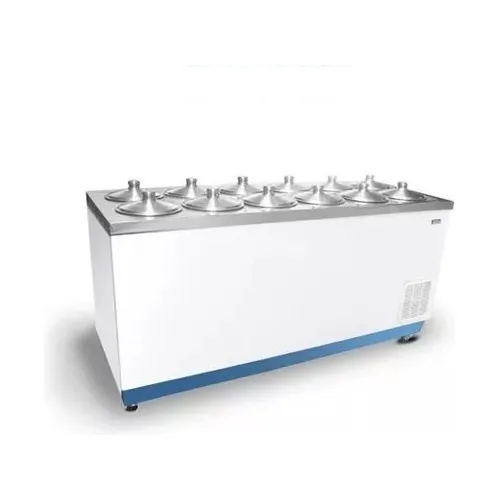 Conservadora Frare 12 Tapas Para Helados 510 Litros