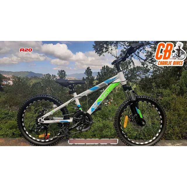 Bicicletas Montañera Rin 20, Espectacular  170$