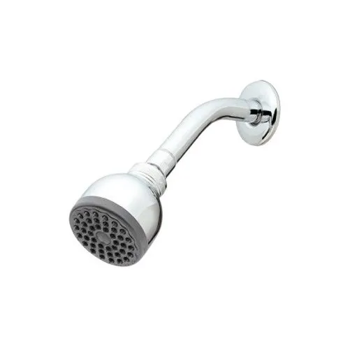 Ducha Regadera Bm Plastica Cromada Con Tubo Y Roseta