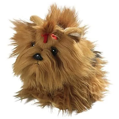 Carl Polla Yorkshire Terrier Perro Cachorro 8.5 M0lyj