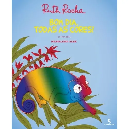 Livro Bom Dia Todas As Cores