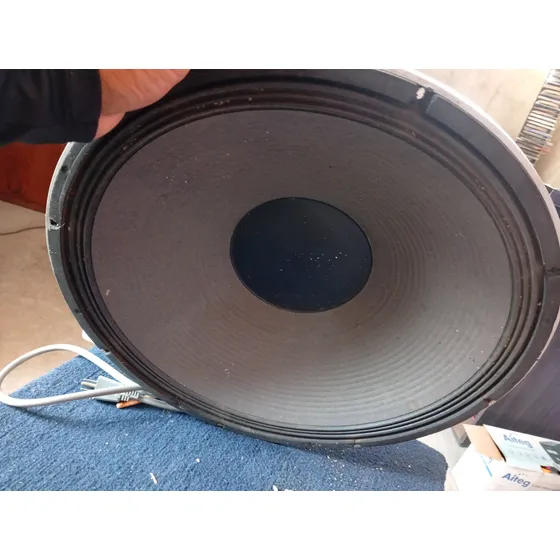 Bajo 18 Pulgadas Zebra 700watt 8ohm