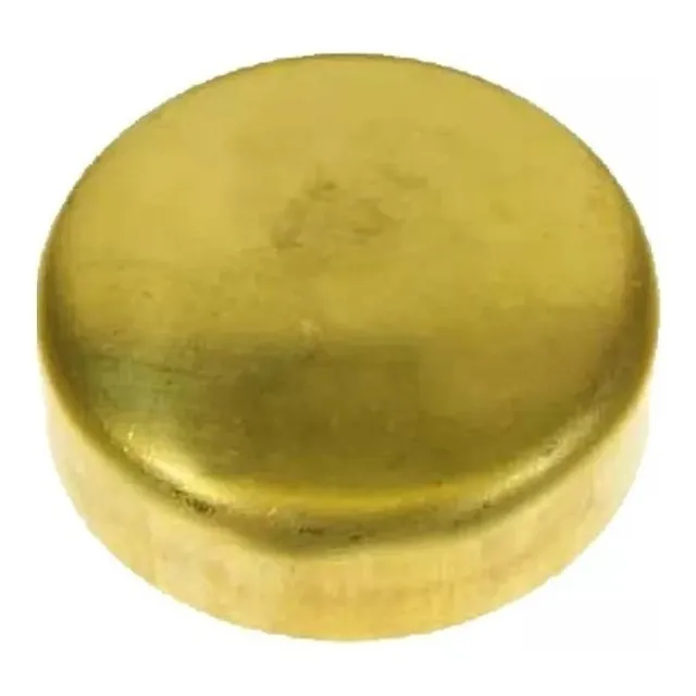 Sello Tapon Agua Bronce Camara 18mm Ford Fiesta Ford Ka