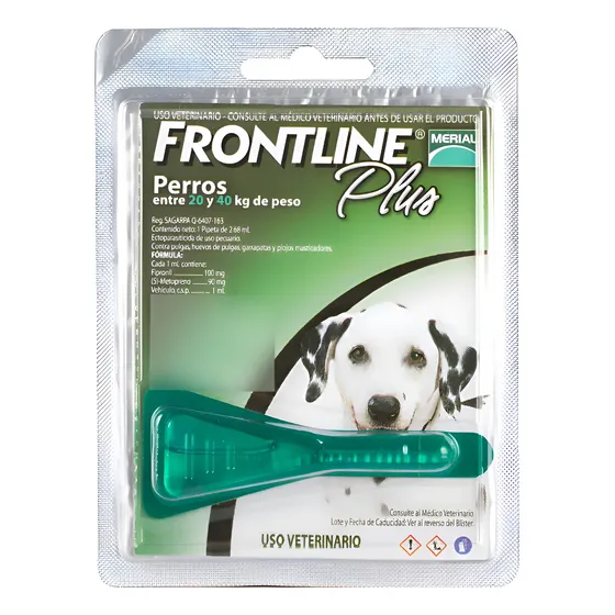 Frontline Plus Pipeta Perro 20-40 kg Control Pulgas Garrapatas Piojos | Cuotas sin interés