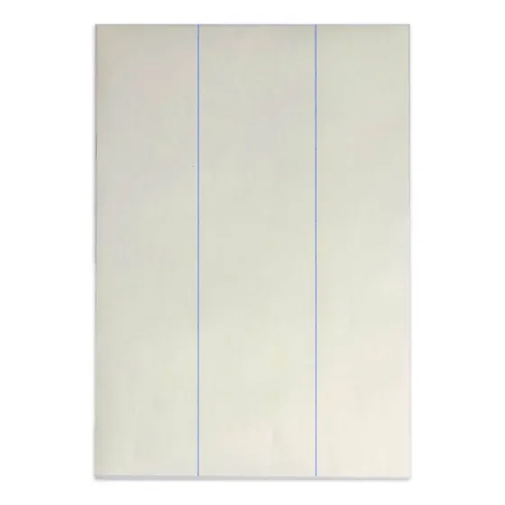 Papel Transfer Blormast Classic Oscura 10 Hojas A4 + 2 Teflonados Termicos - Colores 100% Intensos Definición Hd