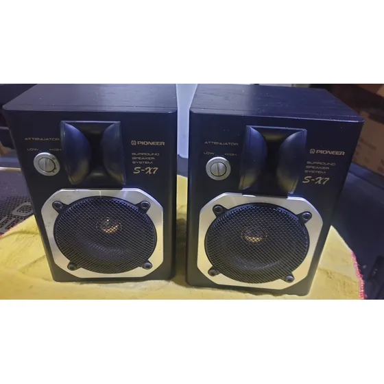Monitores(par) Pioneer Vintage. Son Pasivos.