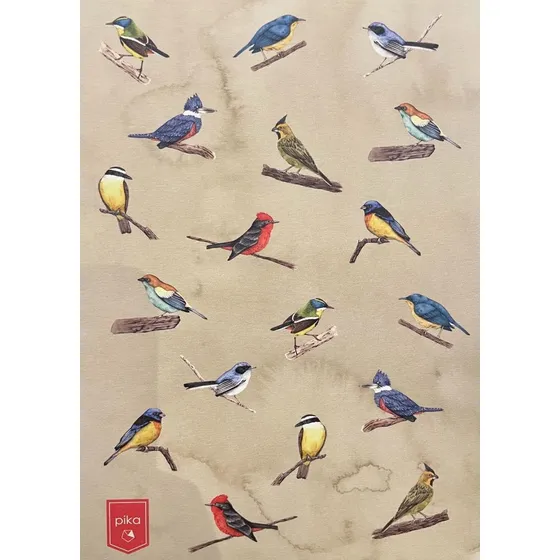 Cuaderno Aves Uruguay, De Varios Autores. Editorial Pika, Edición 1 En Español