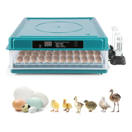 Chocadeira Ovos Incubadora Automática Ovoscópio 72 Ovos 110v