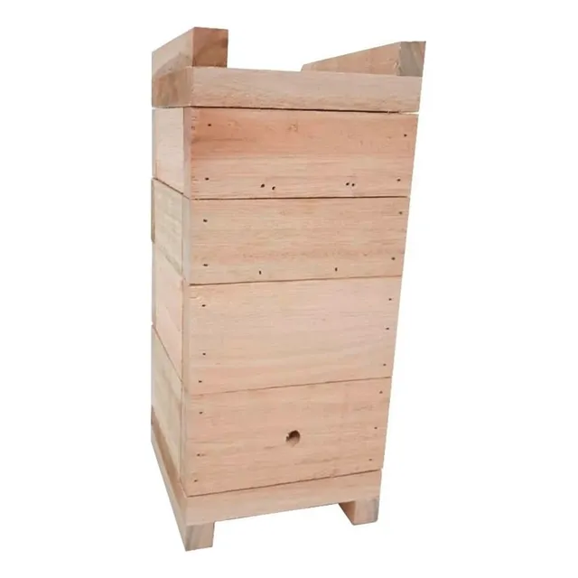 Caixa Inpa Para Abelhas Sem Ferrão Eucalipto - 12x12 Jatai