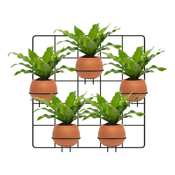 Suporte Para Pendurar Vasos Planta Parede Aramado Com Adubo
