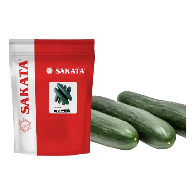 Semilla De Pepino Racer Sakata
