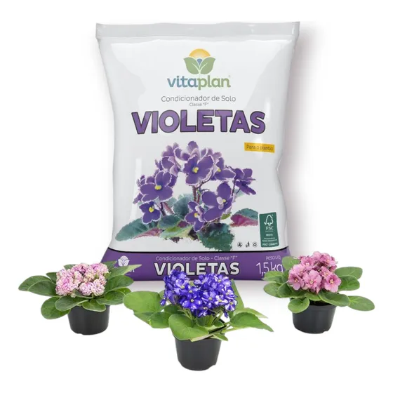 Violeta Africana P11 X3un + Sustrato Vitaplan